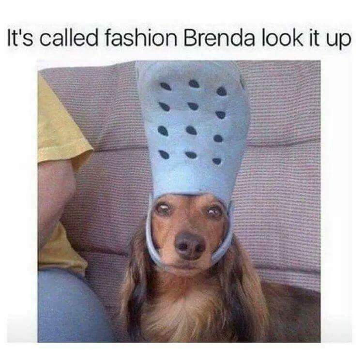 It's called fashion, Brenda – Media 104